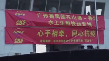 首批經水路供港內地蔬菜運至香港