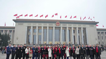 港澳代表委員：融入國家發展大局 港澳發展更添動力